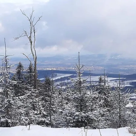 Sloneczny Stok Goworow