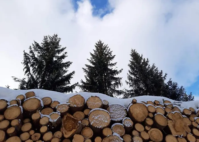 Sloneczny Stok * Goworow